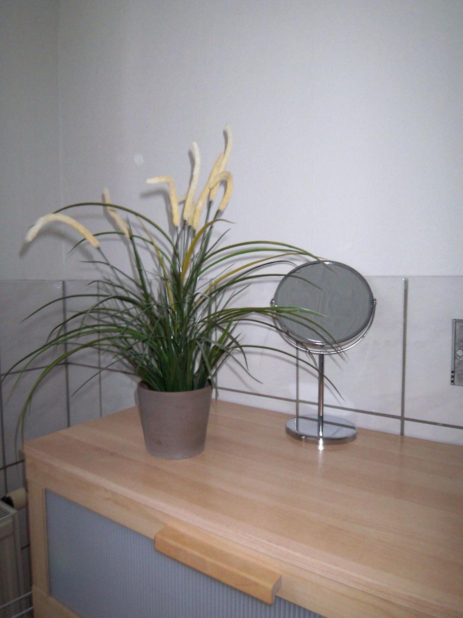 Ambiente-An-Der-Elbe-Wohnung-Og Dresde Exterior foto